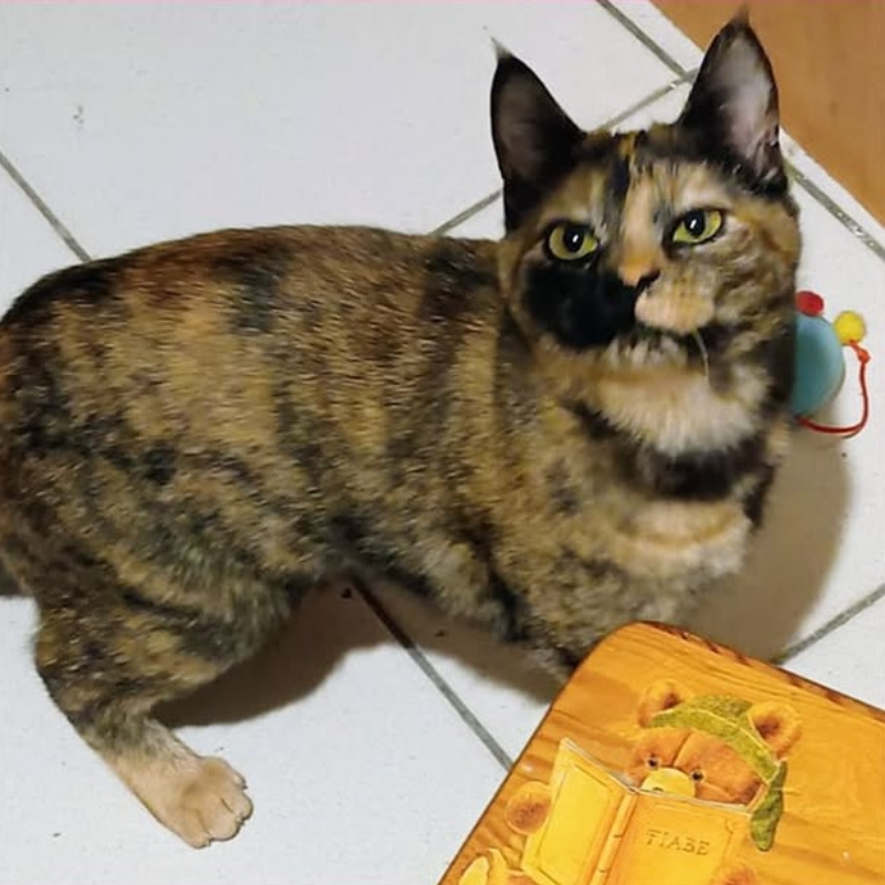 Brigitte, una nuova casa, un nuovo inizio | Associazione Le Sfigatte