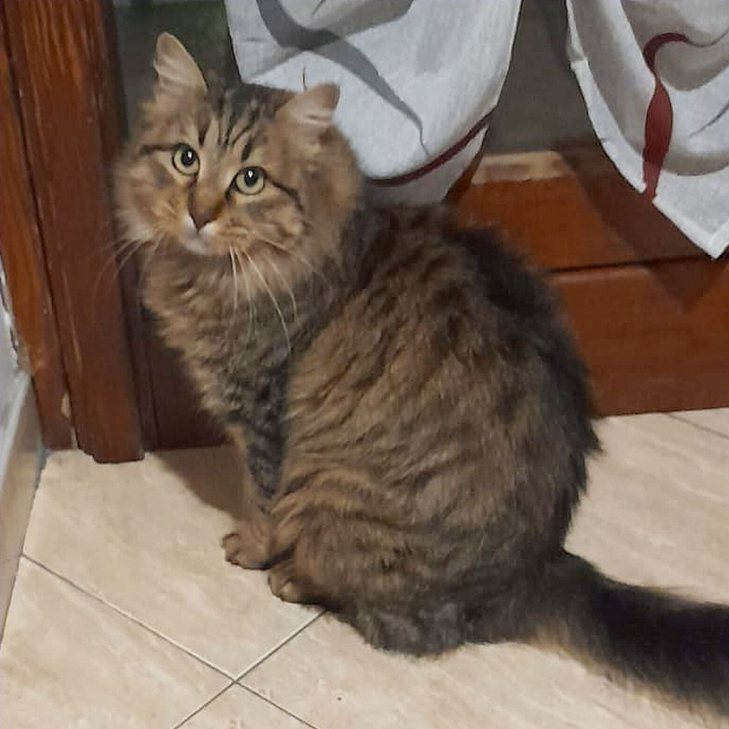 Giuditta, una nuova casa, un nuovo inizio | Associazione Le Sfigatte