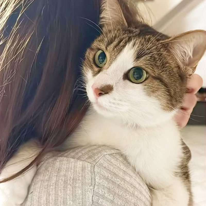 Kira, in cerca di adozione | Associazione Le Sfigatte