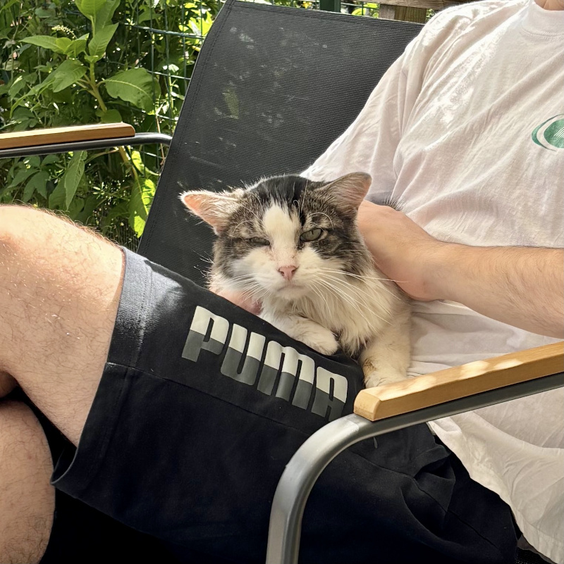 gatti adottati Le Sfigatte
