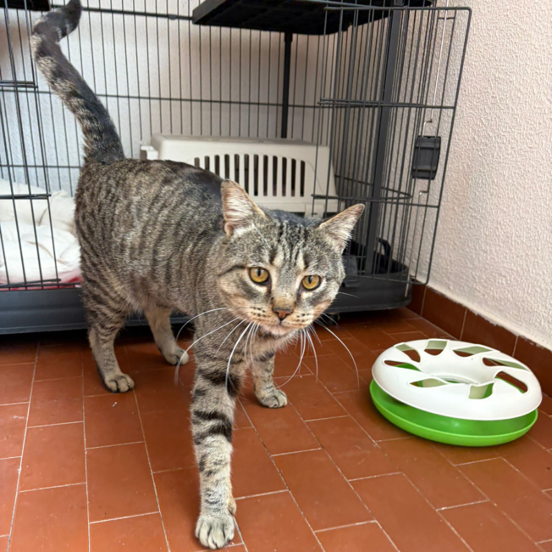 Ulisse, una nuova casa, un nuovo inizio | Associazione Le Sfigatte