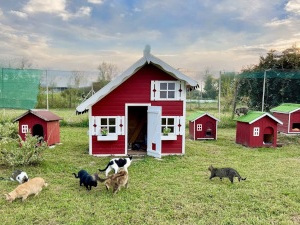 Area Nordica | Rifugio Le Sfigatte