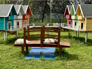 Area Nordica | Rifugio Le Sfigatte