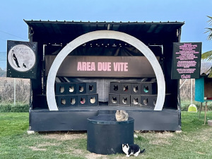 Area Due Vite, omaggio a Marco Mengoni | Rifugio Le Sfigatte