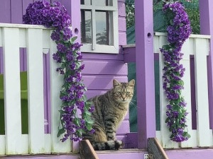 Area Fiabe | Rifugio Le Sfigatte