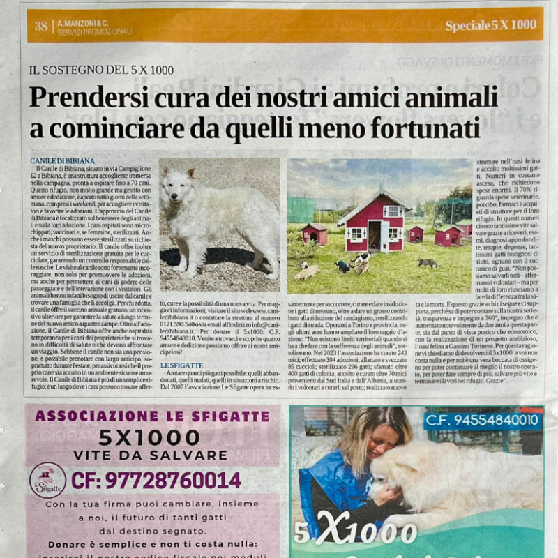 rassegna stampa Le Sfigatte