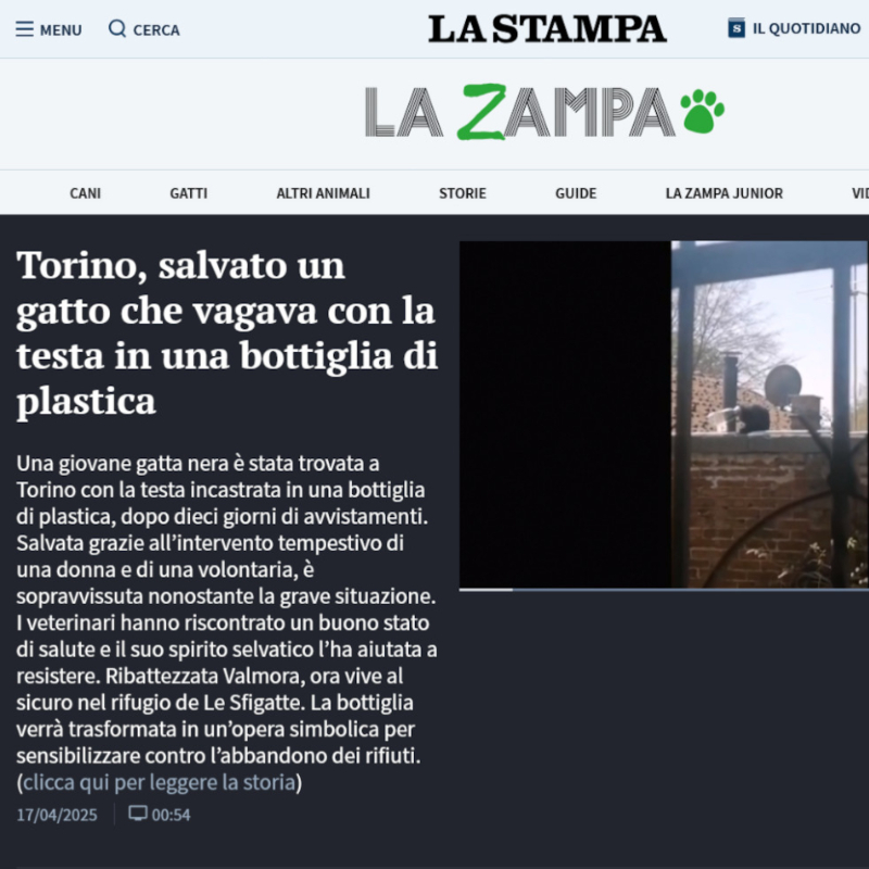 rassegna stampa Le Sfigatte