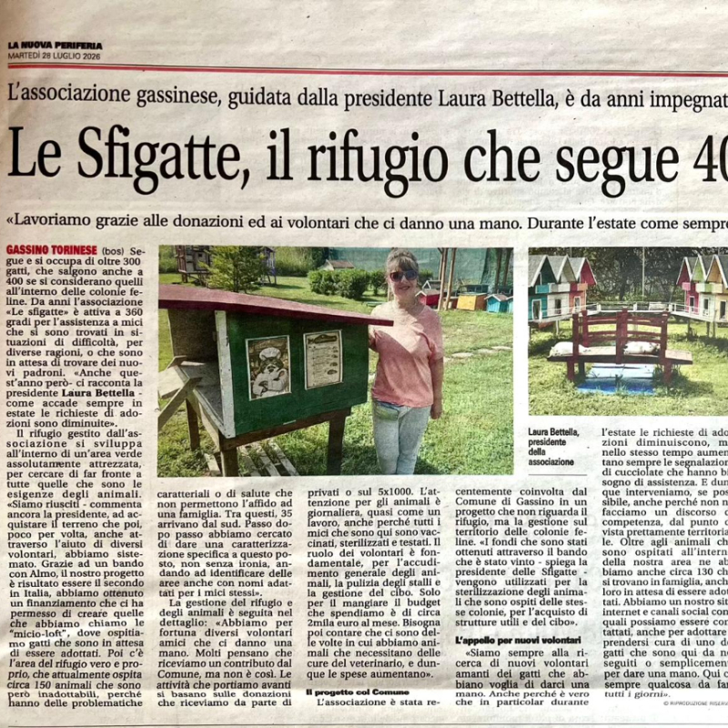 Articolo su Associazione Le Sfigatte pubblicato su La nuova periferia del 28/07/2026