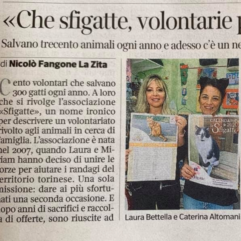 rassegna stampa Le Sfigatte