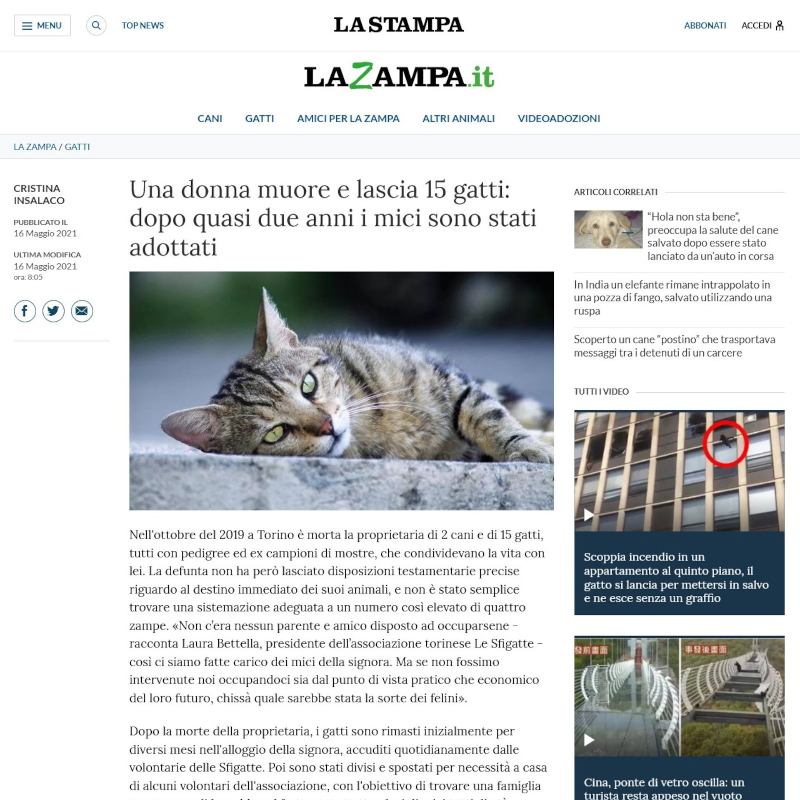 rassegna stampa Le Sfigatte