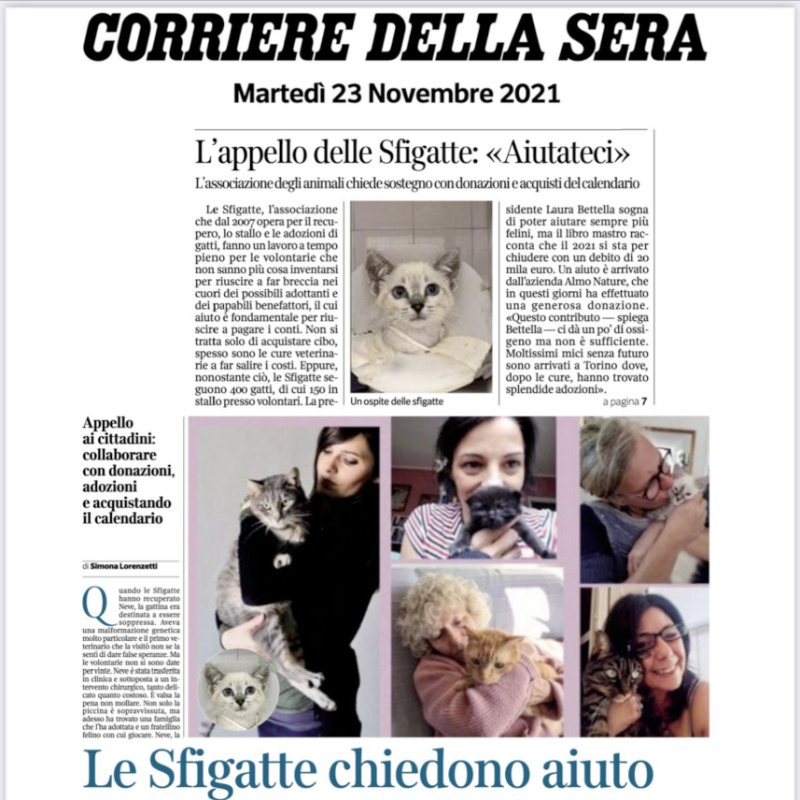 rassegna stampa Le Sfigatte