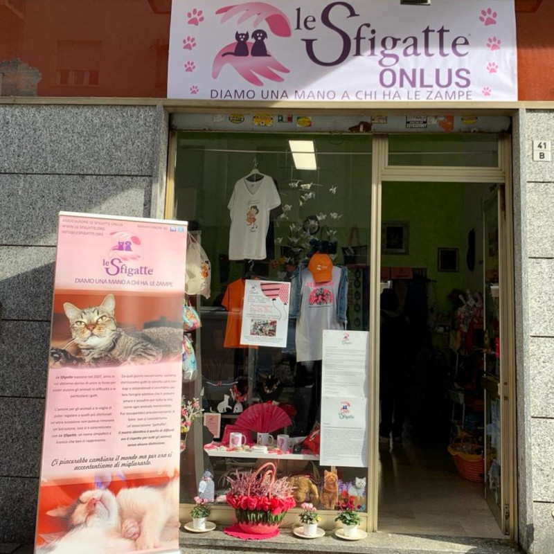 news di Le Sfigatte