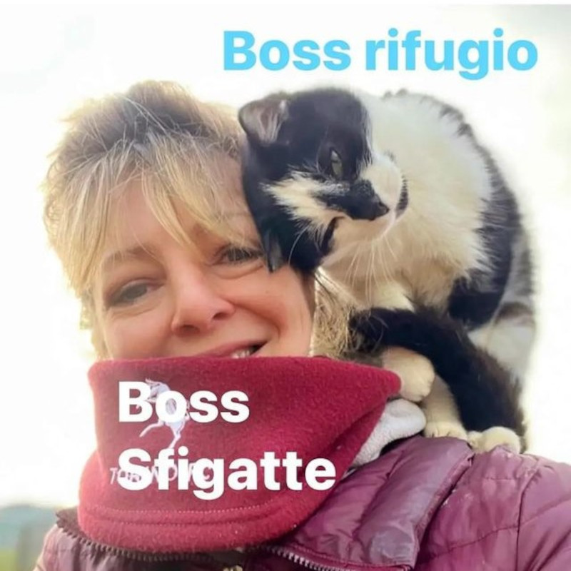 news di Le Sfigatte