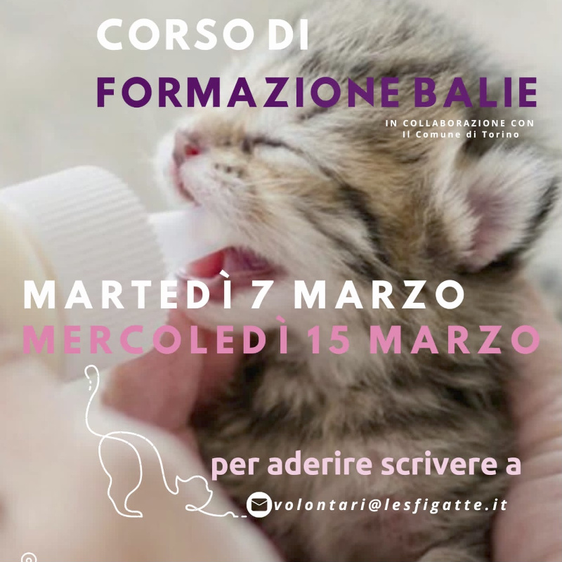 news di Le Sfigatte