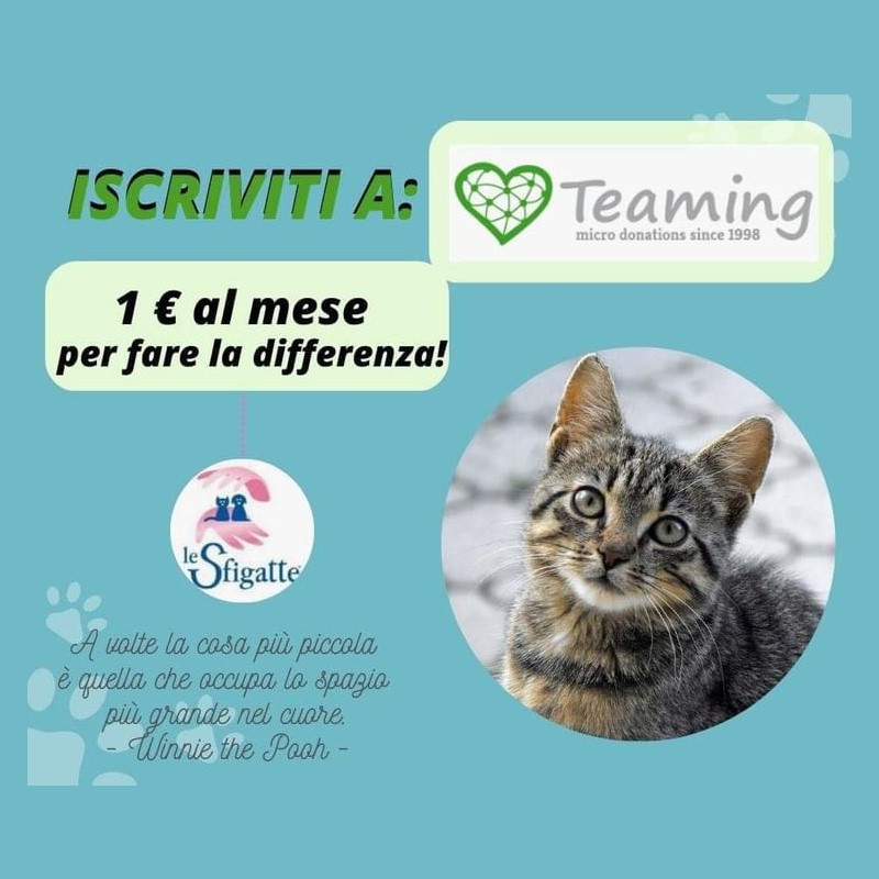 news di Le Sfigatte