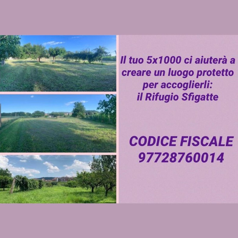 news di Le Sfigatte