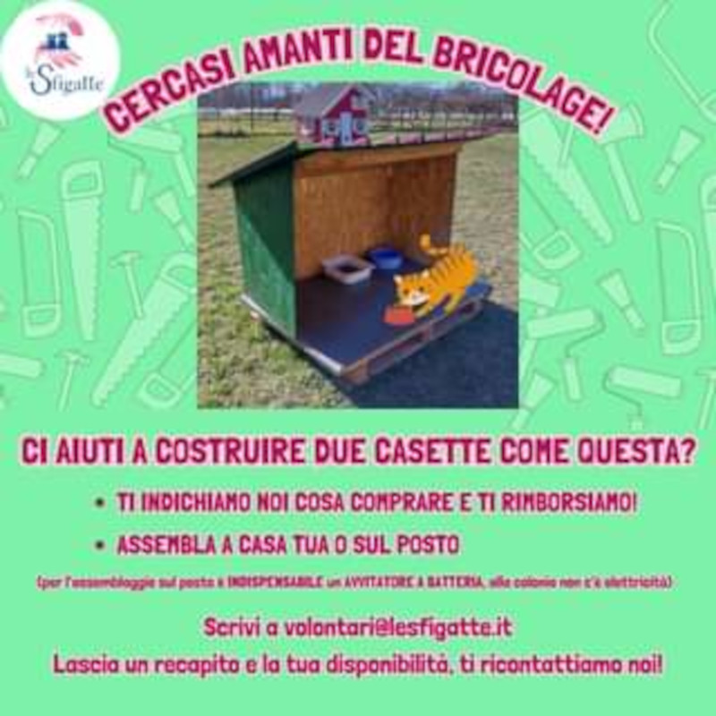 news di Le Sfigatte