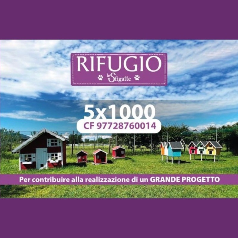 news di Le Sfigatte