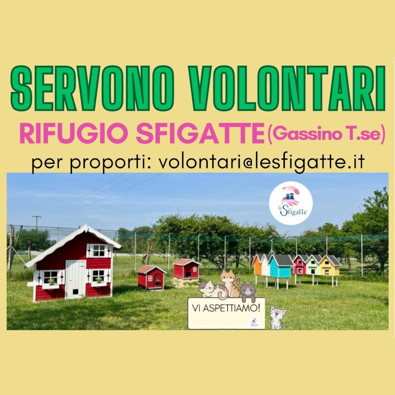 news di Le Sfigatte