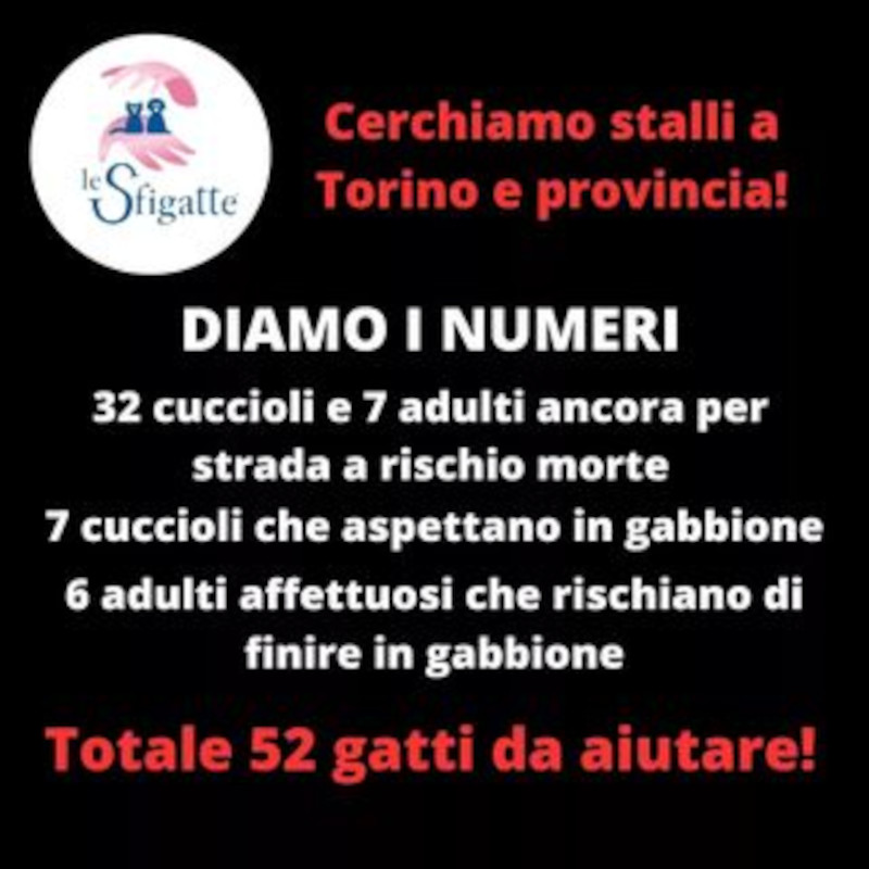 news di Le Sfigatte