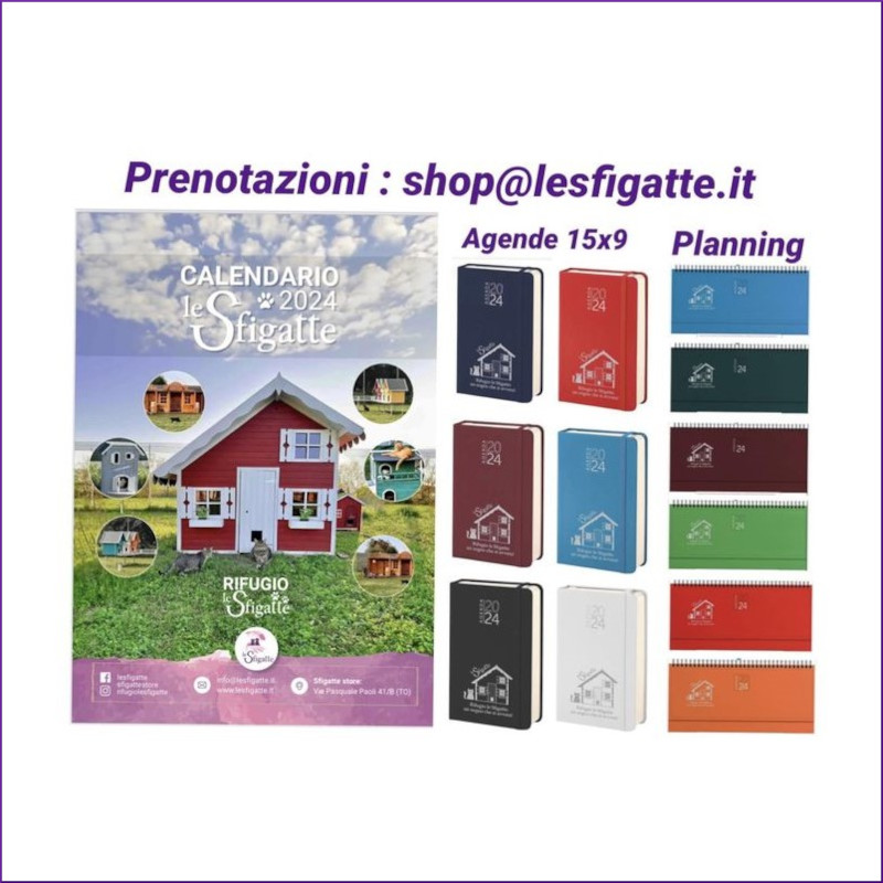 news di Le Sfigatte