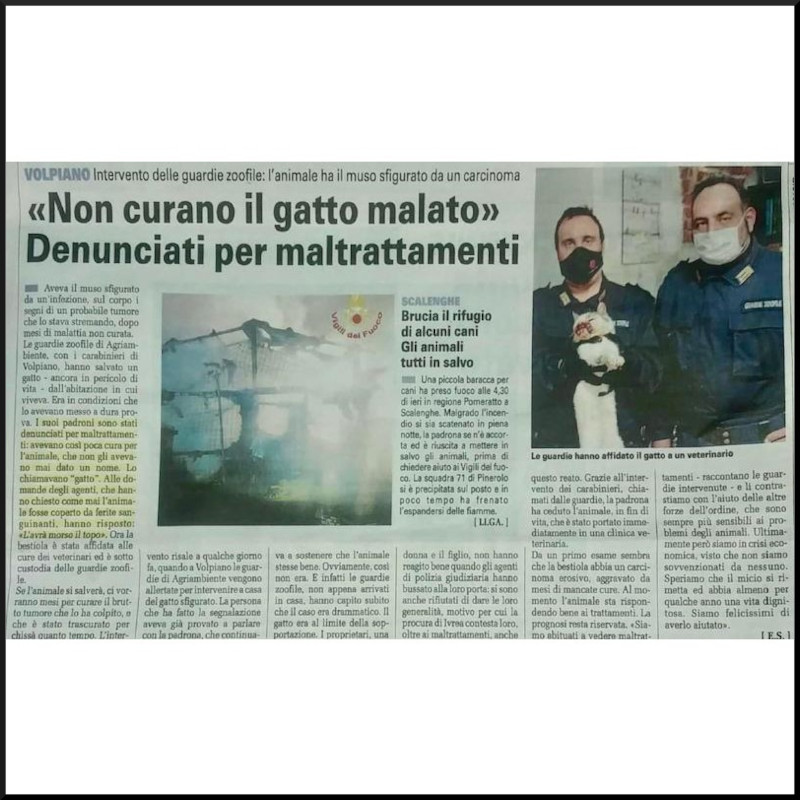 news di Le Sfigatte