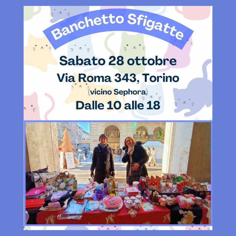 news di Le Sfigatte
