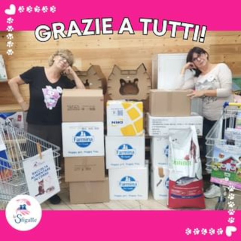 news di Le Sfigatte