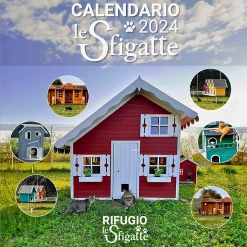 news di Le Sfigatte