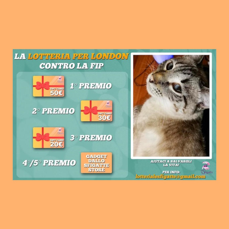 news di Le Sfigatte