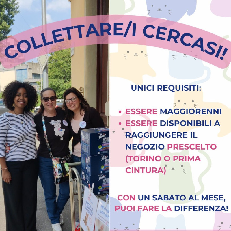 news di Le Sfigatte