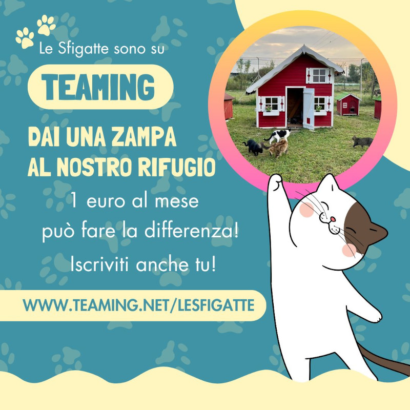 news di Le Sfigatte