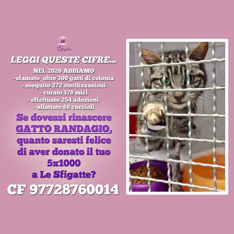 news di Le Sfigatte