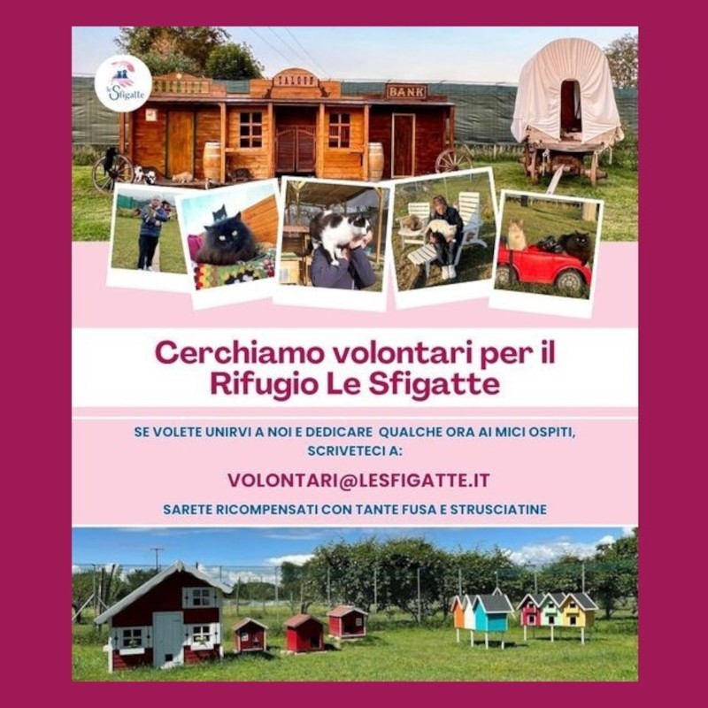 news di Le Sfigatte
