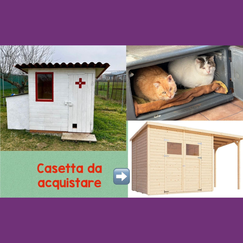 news di Le Sfigatte