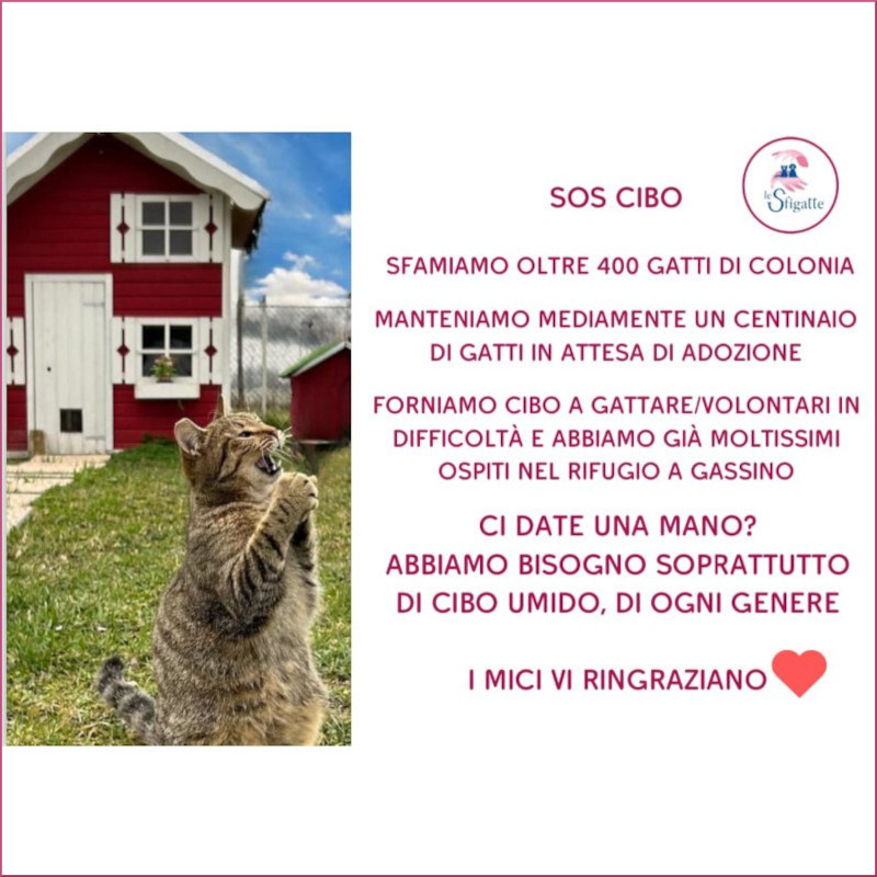 news di Le Sfigatte