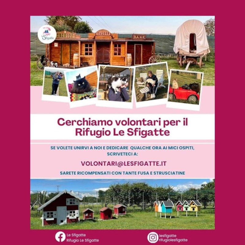 news di Le Sfigatte