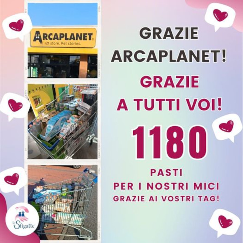 news di Le Sfigatte