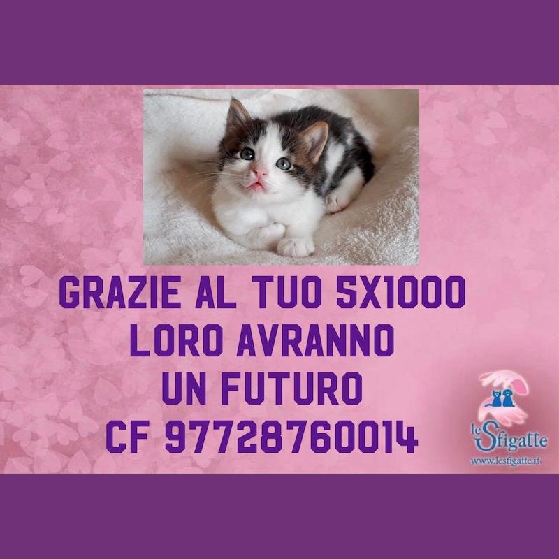 news di Le Sfigatte