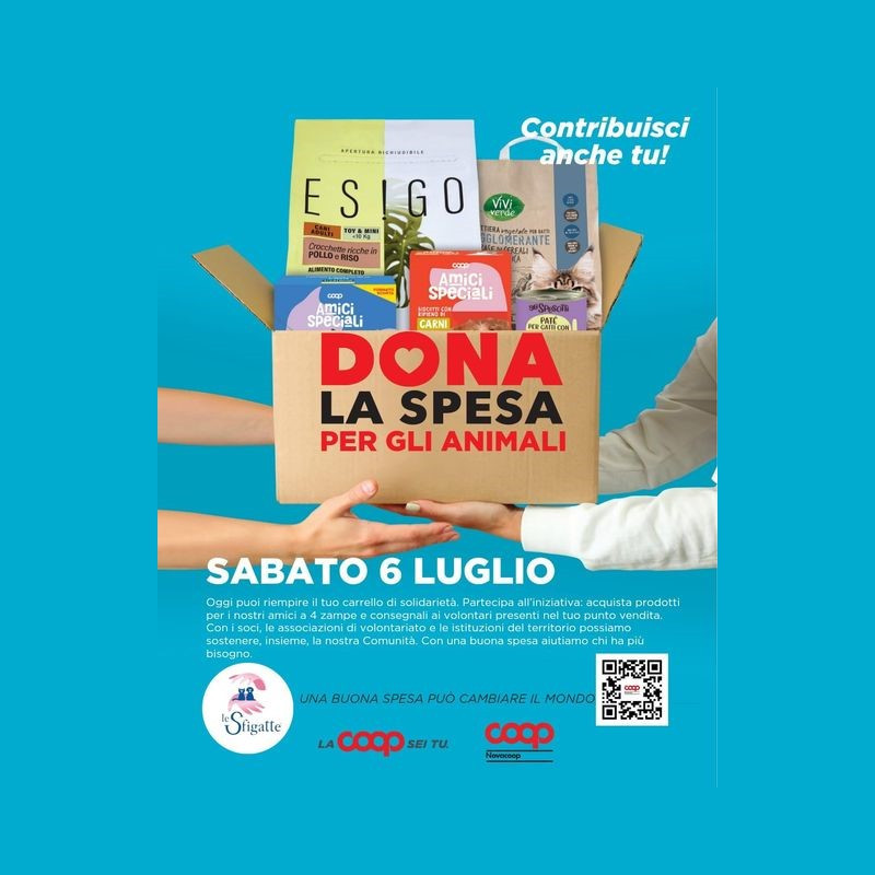 news di Le Sfigatte