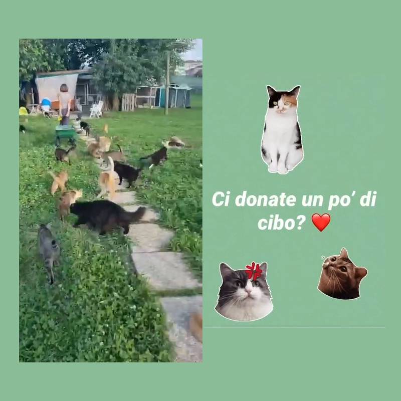 news di Le Sfigatte