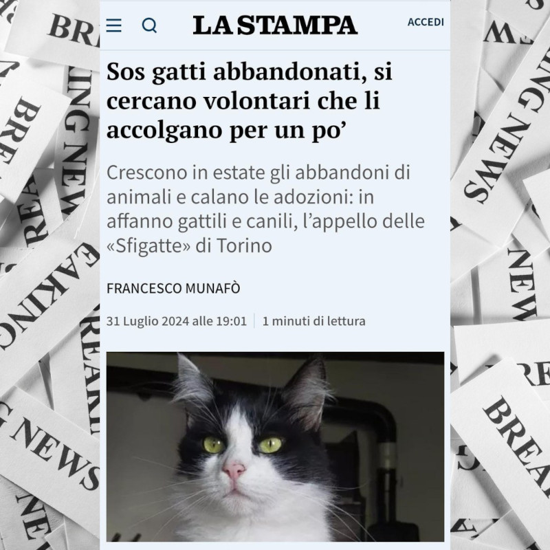 news di Le Sfigatte