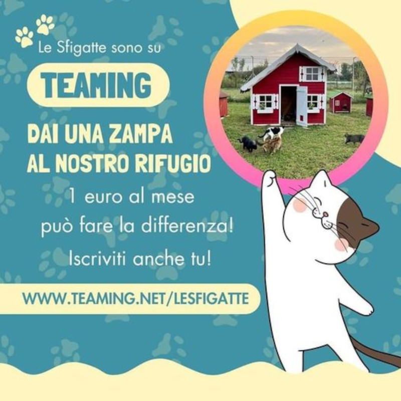 news di Le Sfigatte