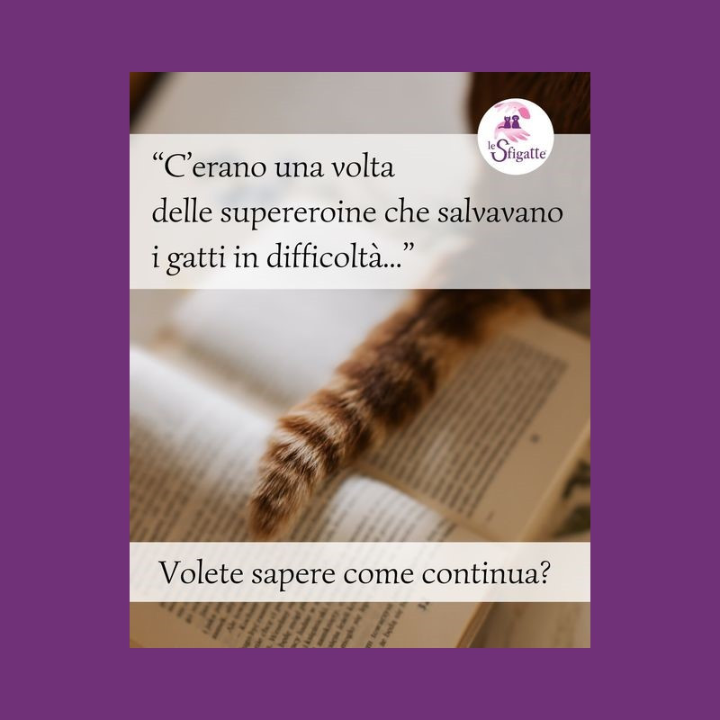 news di Le Sfigatte