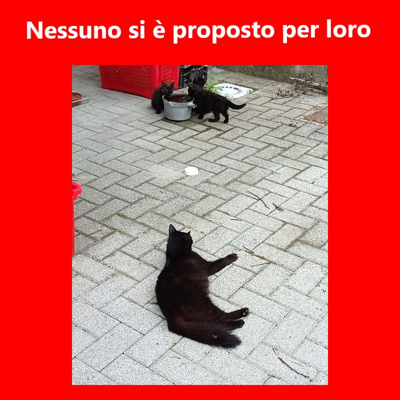 news di Le Sfigatte