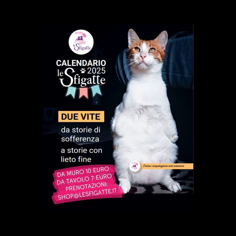 news di Le Sfigatte