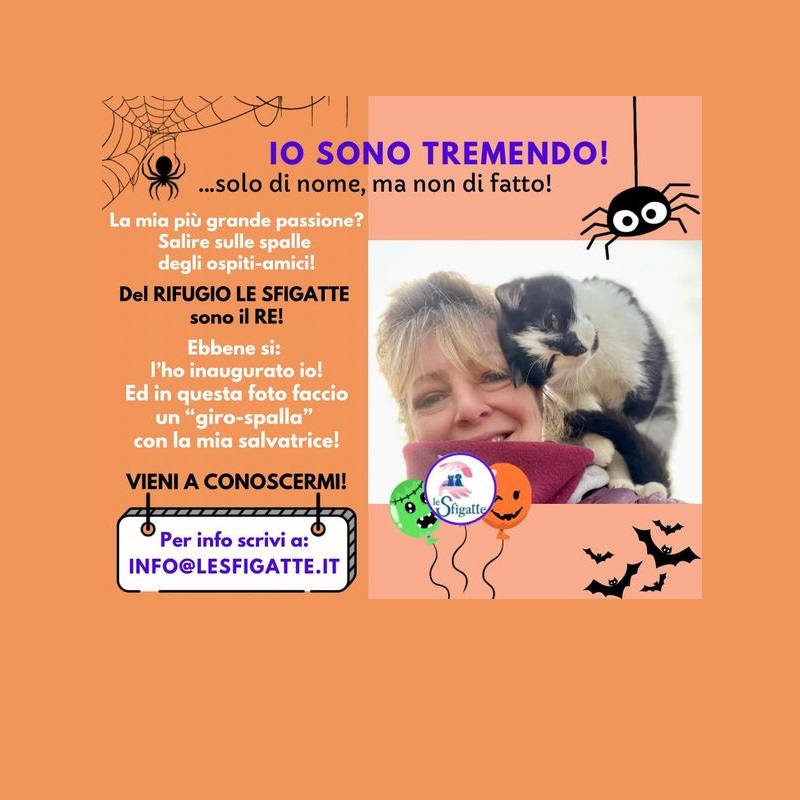 news di Le Sfigatte