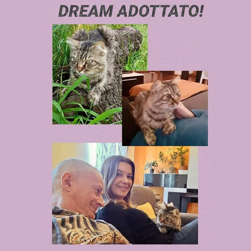 news di Le Sfigatte