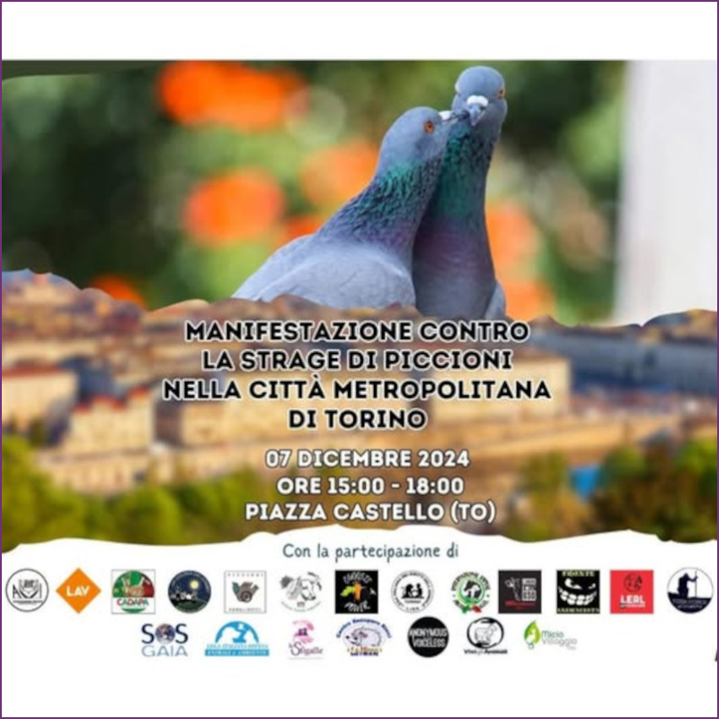 news di Le Sfigatte