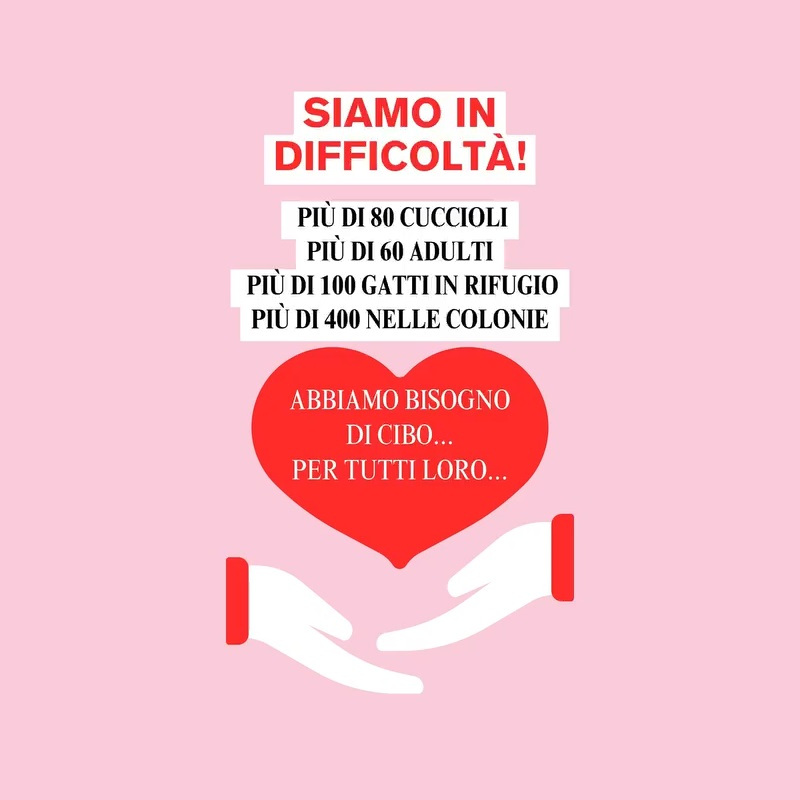 news di Le Sfigatte